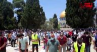 المسجد الأقصى في ظل أزمة الكورونا... التزام للحفاظ على حياة المصلين تطبيقًا لتعليمات الصحة والشريعة المسجد الأقصى في ظل أزمة الكورونا... التزام للحفاظ على حياة المصلين تطبيقًا لتعليمات الصحة والشريعة
